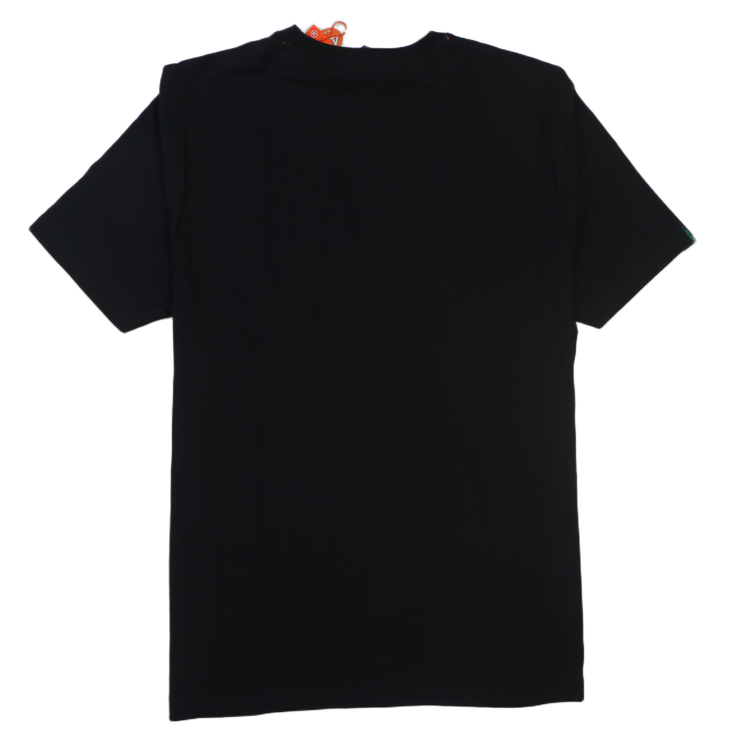 SUPERDRY Enchanted Emerald Relaxed Fit Short Sleeve Graphic Tee
