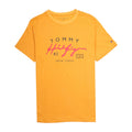 TOMMY HILFIGER Golden Sunrise Relaxed Fit Graphic Tee