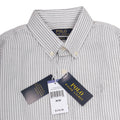 POLO RALPH LAUREN Celestial Mist Classic Fit Striped Button-Down Shirt