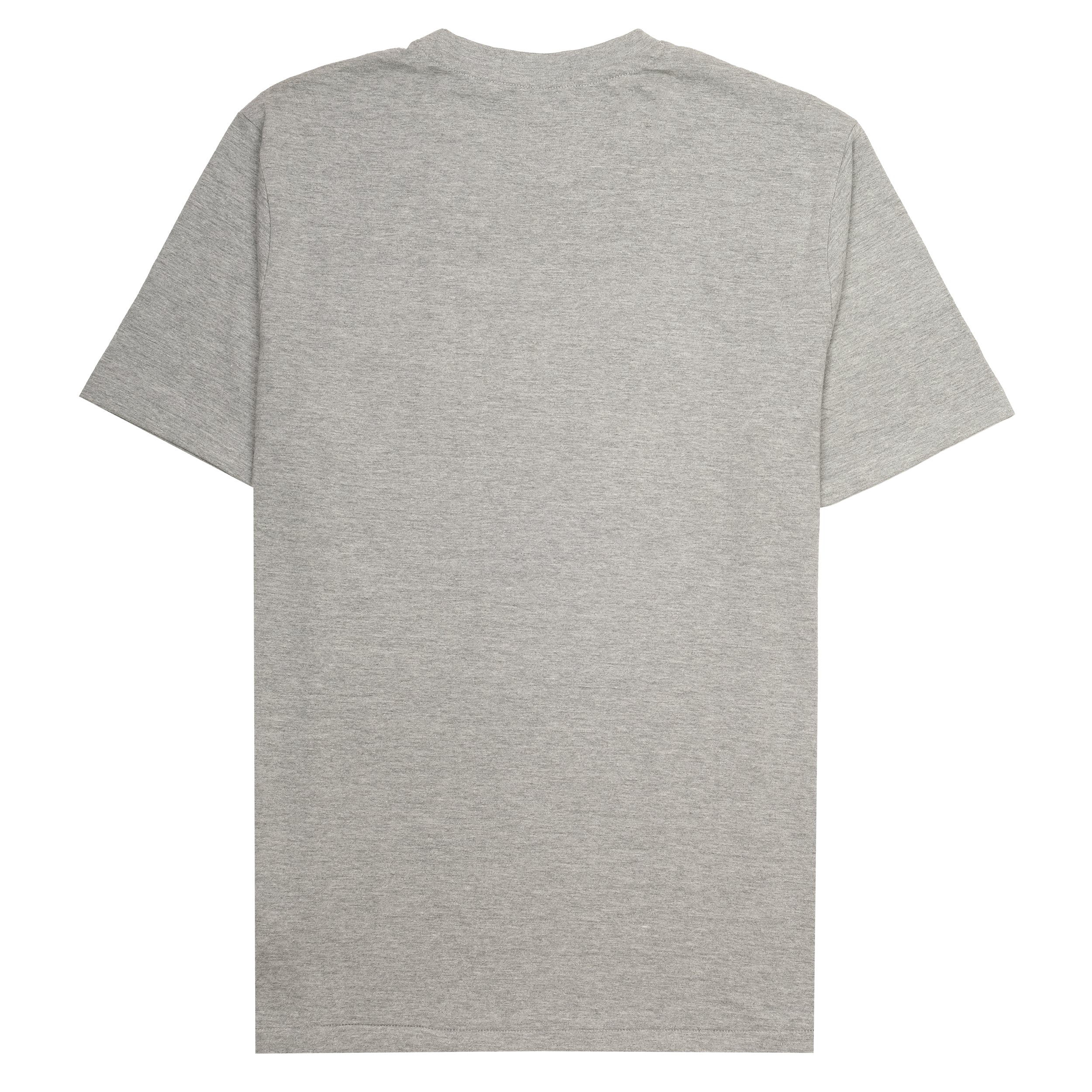 POLO RALPH LAUREN Misty Ash Relaxed Fit Short Sleeve Graphic Tee