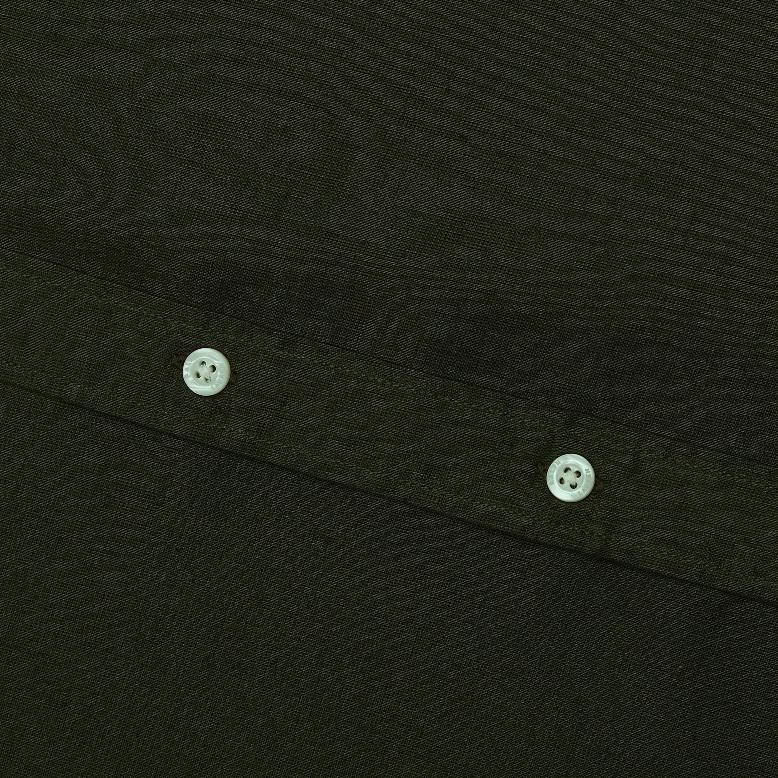 POLO RALPH LAUREN Enchanted Forest Classic Fit Long Sleeve Button-Up Shirt