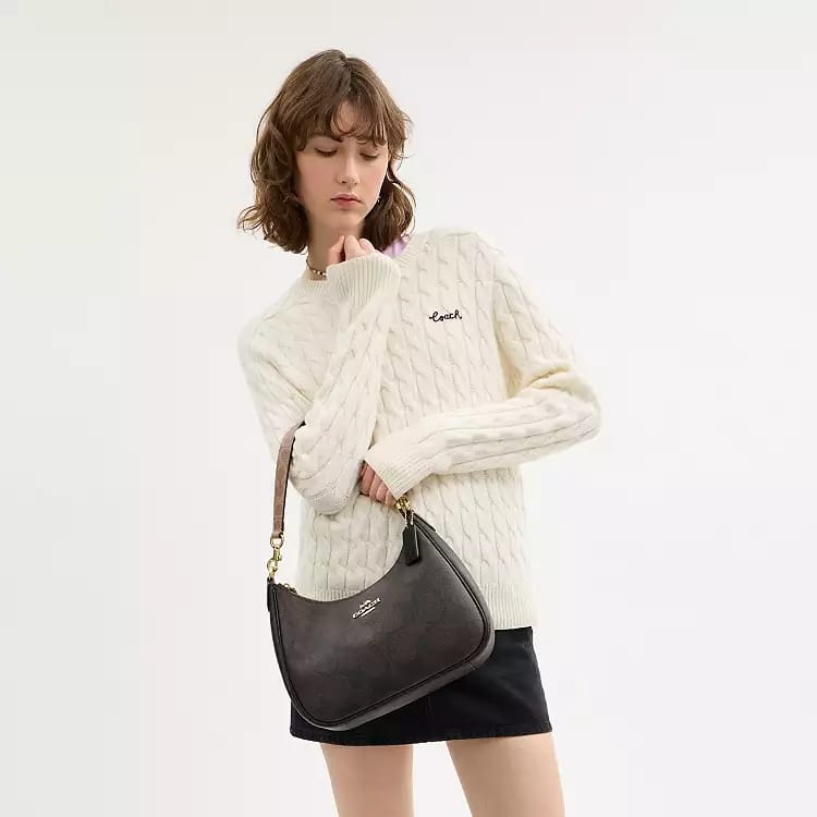 Coach Signature Hobo Bag in Black
