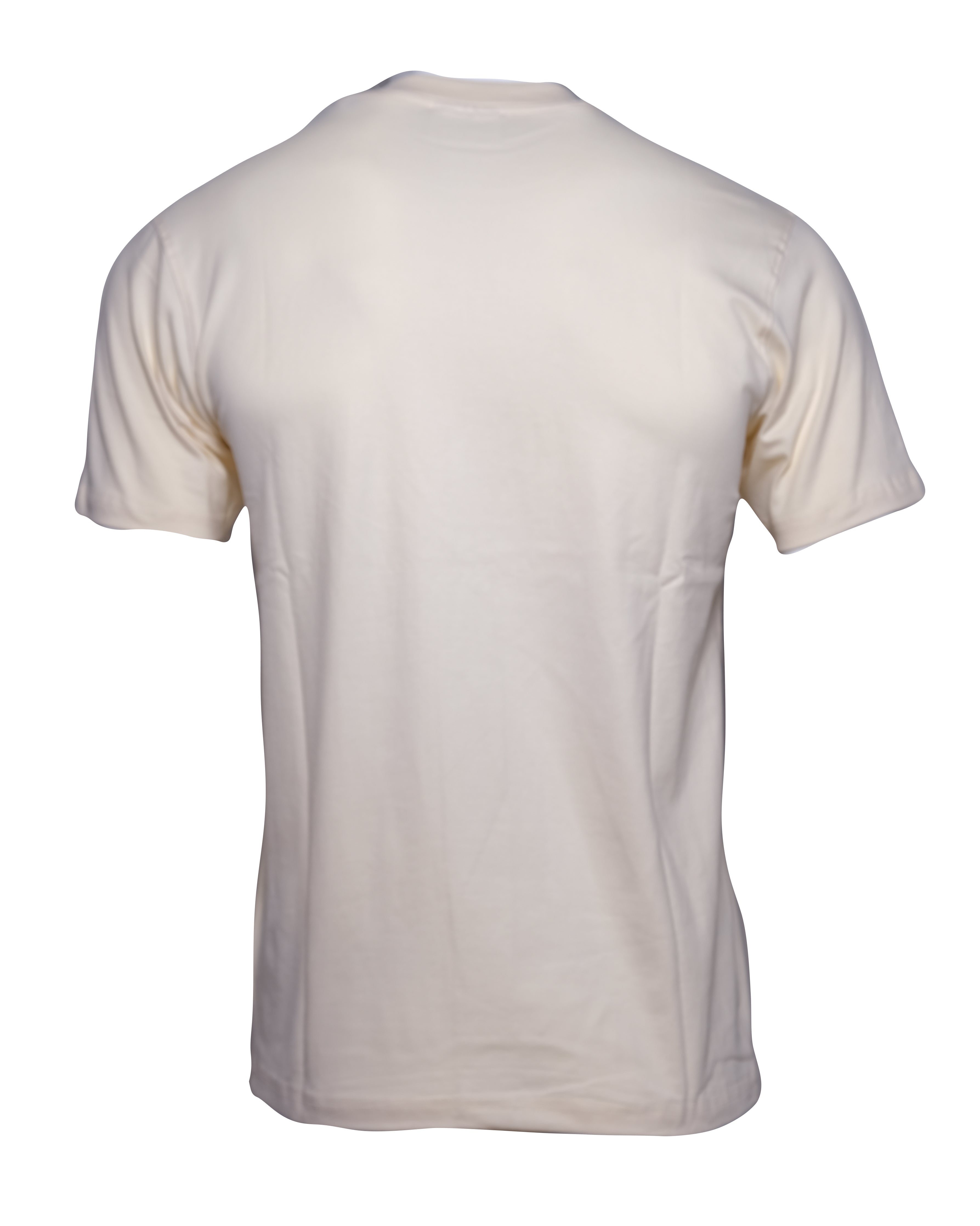 LACOSTE Creamy Canvas Slim Fit Graphic Crewneck Tee