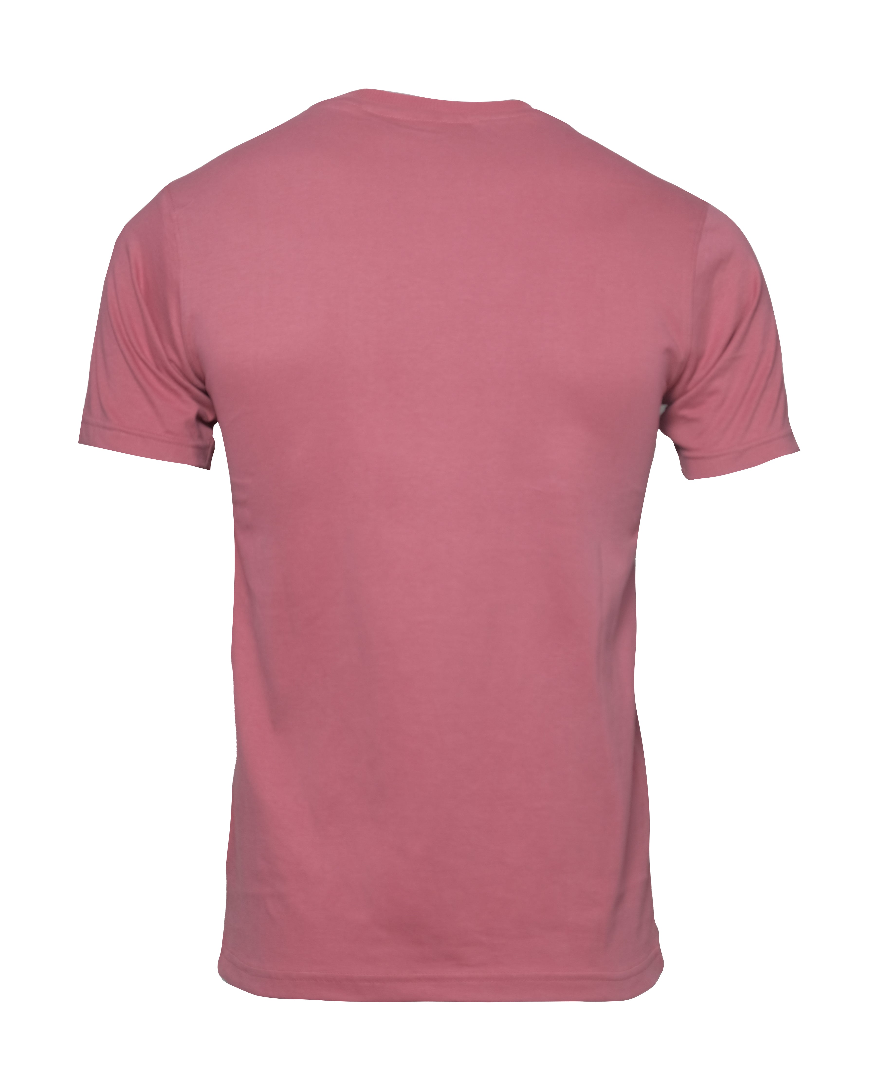 LACOSTE Blushing Petal Classic Fit Graphic Crew Neck Tee